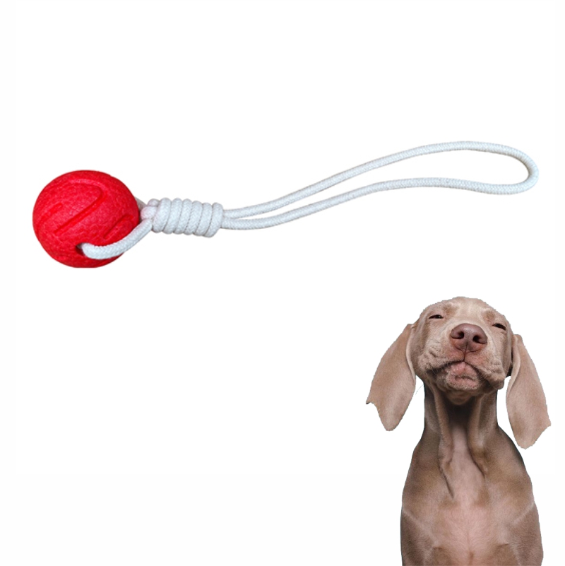 El animal doméstico de OEM / ODM juega el sistema interactivo amistoso de los juguetes del perro de perrito del juguete del perro del esfuerzo supremo respetuoso del medio ambiente de E-TPU